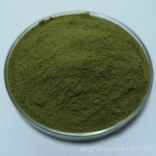 Bio -Gerstengrassaftgrün -Pulver